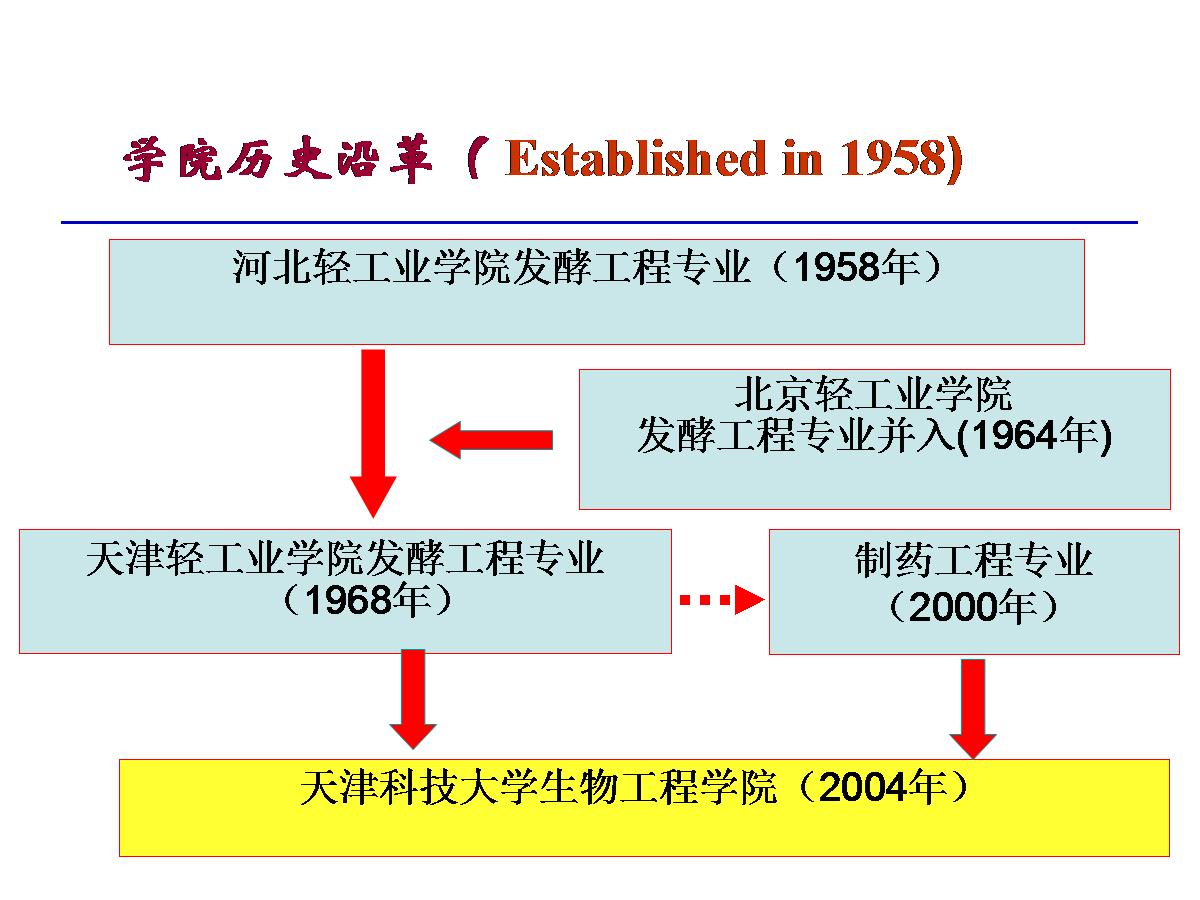 轮盘赌